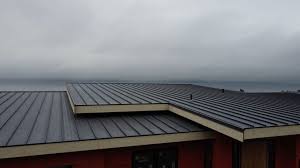 Best Emergency Roof Repair Services  in Niles, OH